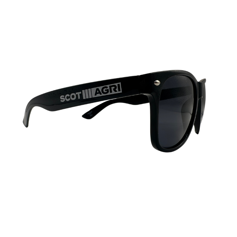 Sunglasses (3)