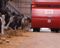 Feeder Wagons